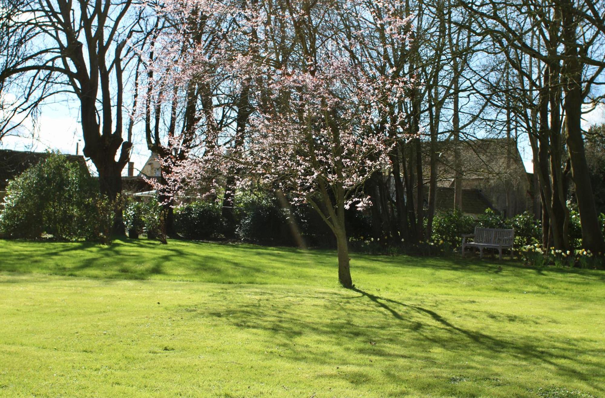 לינה וארוחת בוקר Great Badminton Parsonage House, Badminton מראה חיצוני תמונה